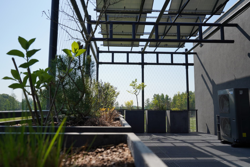 image image (84).jpg